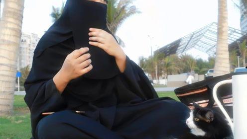 娱乐吃瓜君粉丝,揭秘幕后故事与精彩瞬间