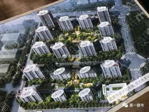 肥西楼市最新爆料消息,揭秘最新爆料背后的市场真相 第1张 肥西楼市最新爆料消息,揭秘最新爆料背后的市场真相 第1张